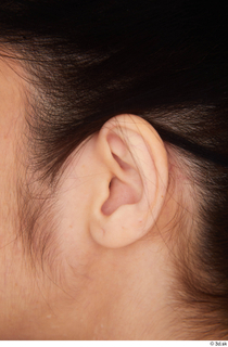 Wild Nicol ear 0001.jpg